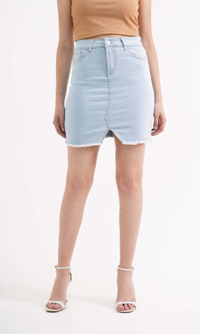 Alternative view of Pollera Celeste